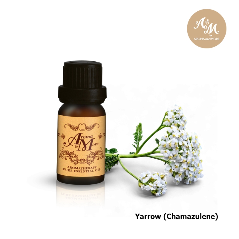 Aroma&More Yarrow (Chamazulene) Essential Oil น้ำมันหอมระเหยยาร์โรว์, France 5-10-30ml