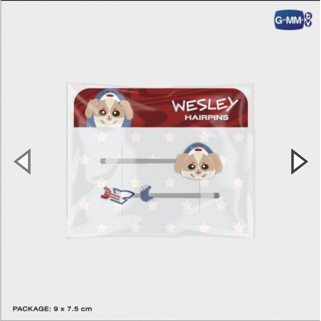 WESLEY HAIRPINS กิ๊ฟติดผม