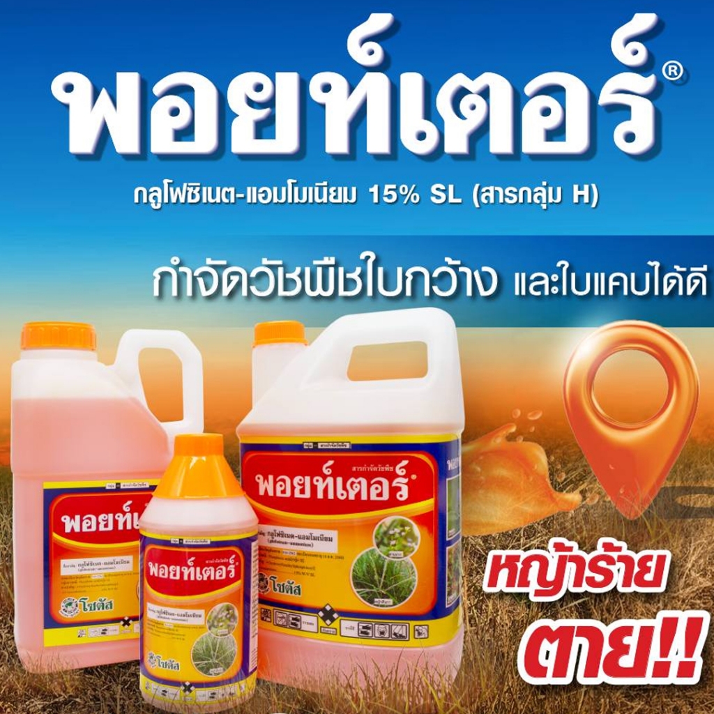 พอยท์เตอร์ (เผาไหม้+ดูดซึม) สารกำจัดวัชพืชประเภทใบแคบ ใบกว้าง กก | โซตัส | ขนาด 1ล. 4ล. 5ล.