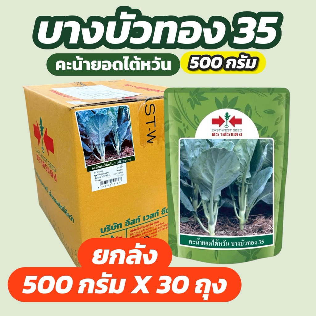 คะน้ายอดไต้หวัน บางบัวทอง 35 ศรแดง (ยกลัง 500 กรัม x 30 ถุง)