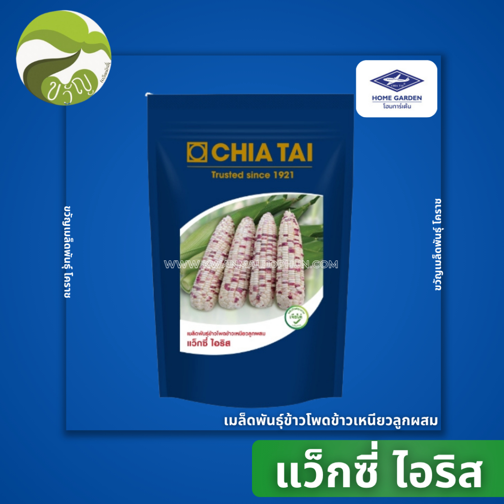 แว็กซี่ ไอริส เมล็ดพันธุ์ ข้าวโพด ข้าวเหนียว ลูกผสม ตรา เจียไต๋