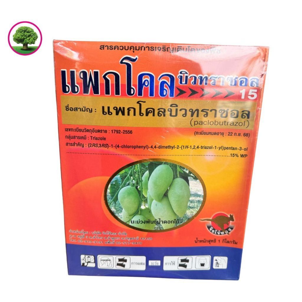 แพคโคลบิวทราโซล ตราจิงโจ้ทอง ขนาด 1 กก.เสริมการออกดอกของมะม่วง ทำให้ออกดอกดอกได้เร็วขึ้นก่อนฤดูกาล