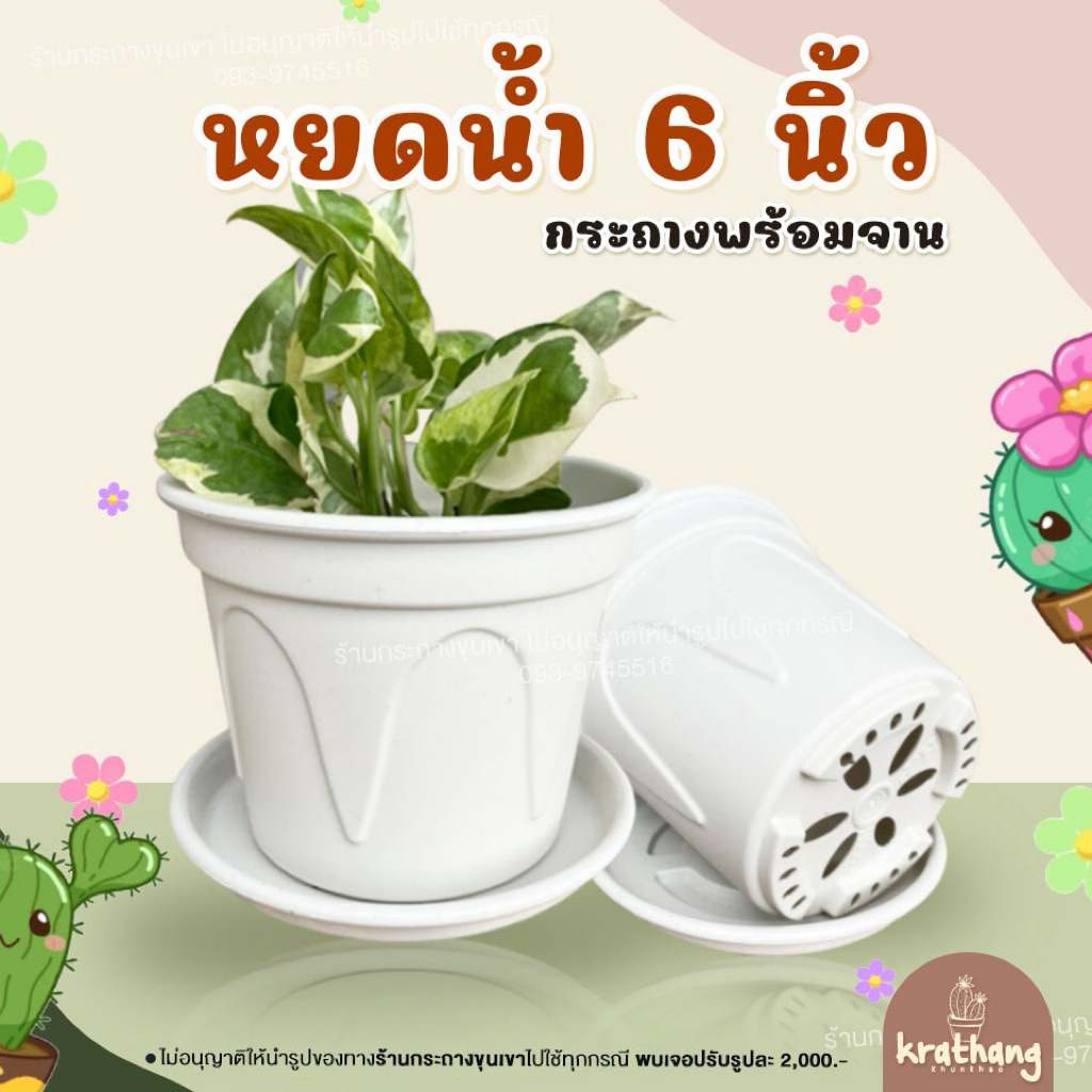 🌵🪴🌵กระถางหยดน้ำ 6นิ้ว , 5นิ้ว พร้อมจานรอง เนื้อดี หนาแข็งแรง สีขาวนวลมินิมอล🌵🪴🌵