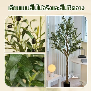 【สั่งแล้วฟรีกระถางดอกไม้】ต้นโอลีฟ ต้นมะกอกปลอม 120/150/180cm สไตล์นอร์ดิกอิน ลำต้นสีน้ำตาลเหมือนของจริง ต้นไม้ปลอมใหญ่