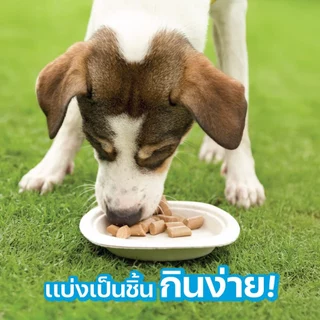 VFcore BAR BIO สูตร ปรับสมดุลลำไส้ จำนวน 1 กล่อง (20 ซอง)