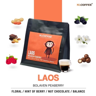 NLCOFFEE เมล็ดกาแฟ Laos - Bolaven Peaberry