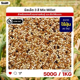 มิลเล็ต 3สี Mix Millet เกรดA อาหารนกเขาเล็ก นกแก้ว สัตว์ฟันแทะ สะอาด ร่อนฝุ่น (แบ่งขาย 500G / 1KG)
