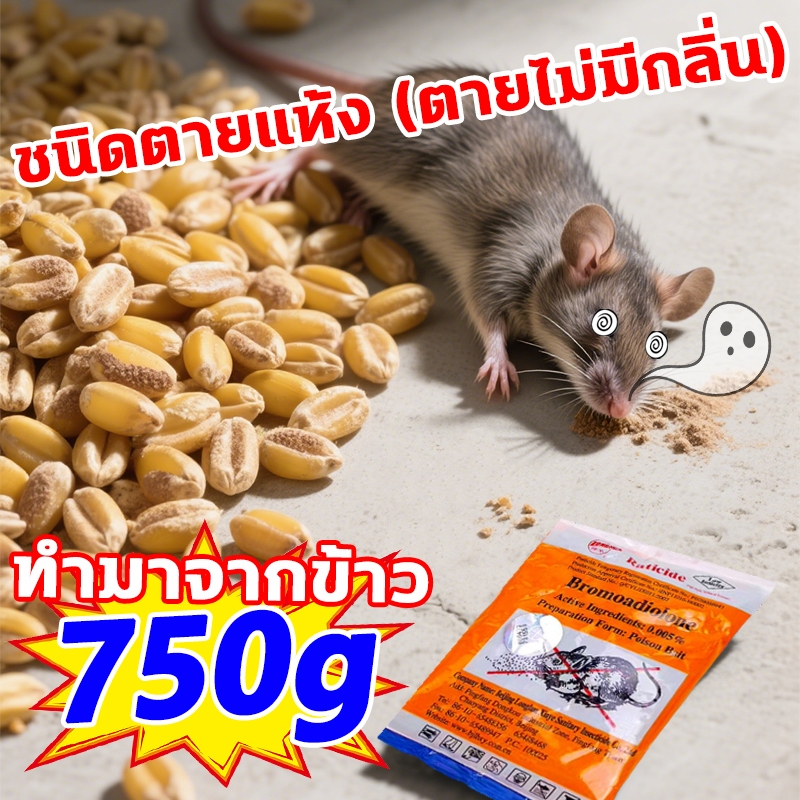 ส่งจากกรุงเทพ ยาเบื่อ หนู แรงๆ 750g ตายแห้ง(หนูชอบมาก) ยากำจัดหนู 1 คืน ไวสุด ทำจากธัญพืช สูตรใหม่ล่าสุด ไม่ต้องผสมอาหาร