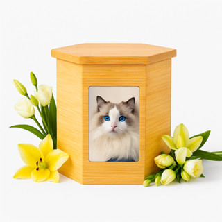 (ส่งฟรี) โกศไม้ทนทาน โกศสัตว์เลี้ยงสําหรับขี้เถ้าแมว โกศแมวส…