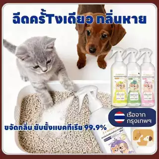 Ketzuzu สเปรย์ดับกลิ่นฉี่แมว รุ่นปรับปรุง สเปรย์ดับกลิ่นสัตว์เลี้ยง ดับกลิ่นทรายแมว
