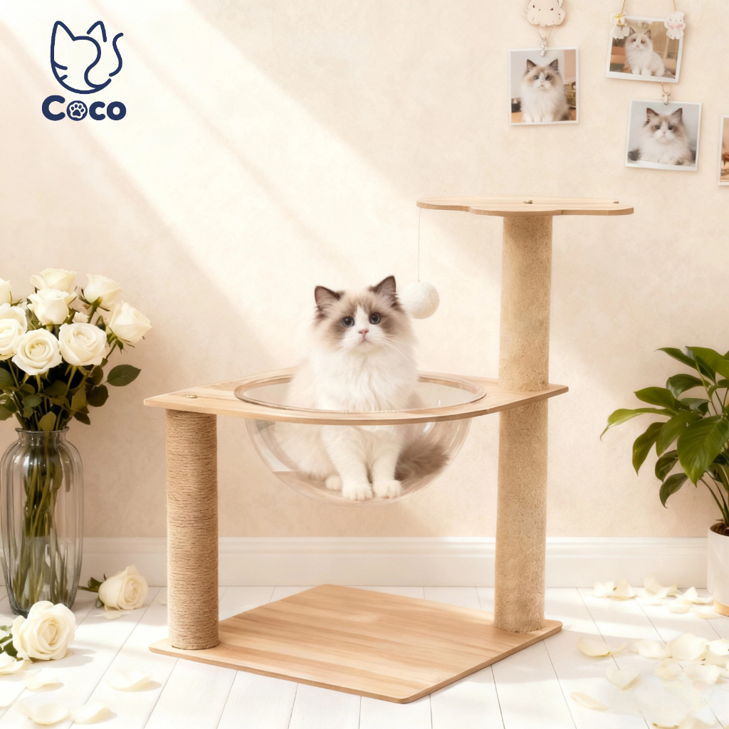 CoCo.petมีอ่างล้างจานใสและอ่างล้างจานใสเตียงแมวและบ้านแมว เฟอร์นิเจอร์แมว, ที่ขูดกรงเล็บแมว, ที่ขูดเล็บ, โครงปีนเขา