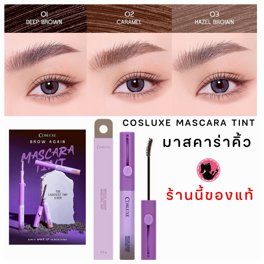 COSLUXE BROW AGAIN MASCARA TINT มาสคาร่าคิ้ว ทินท์