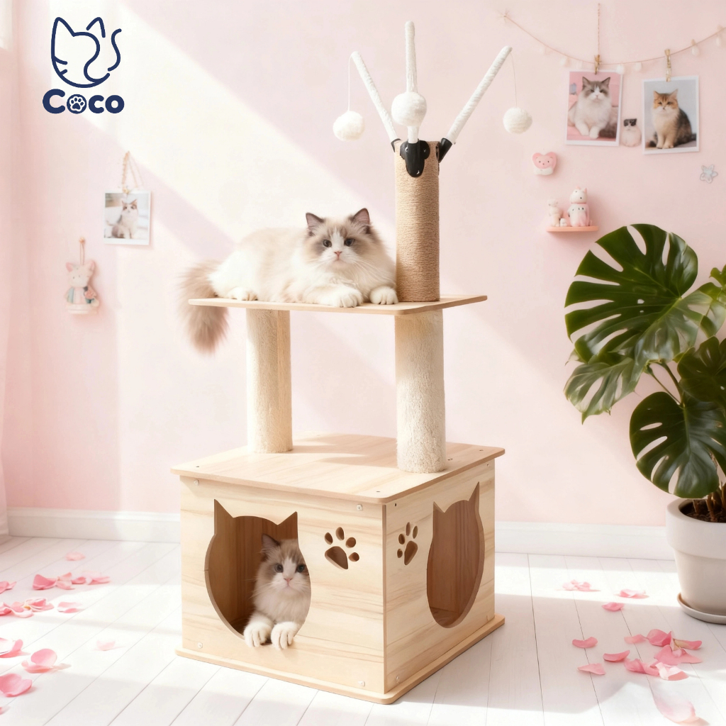 Coco.petคอนโดแมว แมวปีนกรอบ เฟอร์นิเจอร์แมว บ้านแมว เตียงแมว ที่ลับเล็บแมว ที่ฝนเล็บแมว ของเล่นแมว วัสดุปลอดภัย ทนทาน