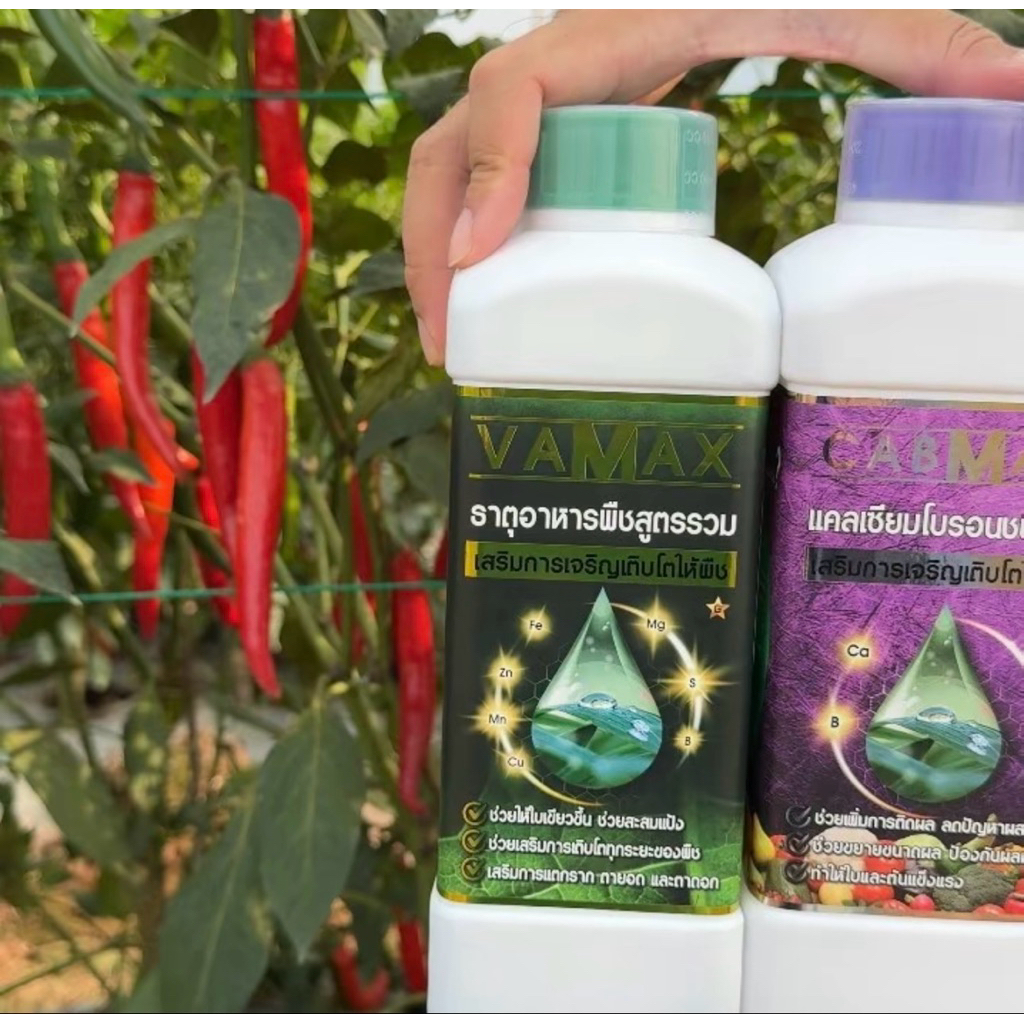 [1แถม1] CabMax+VaMax แคลเซียมโบรอนเข้มข้ม แถม ปุ๋ยธาตุรวม ราคาพิเศษ - 2