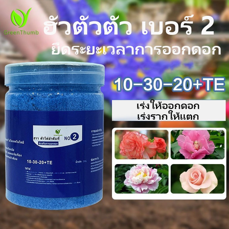 【GreenThumb】หัวคู่ดูโอ เบอร์ 2 ปุ๋ยละลายน้ำสำหรับกล้วยไม้ กุหลาบ และไม้กระถาง (250 กรัม) ปุ๋ยอเนกประสงค์