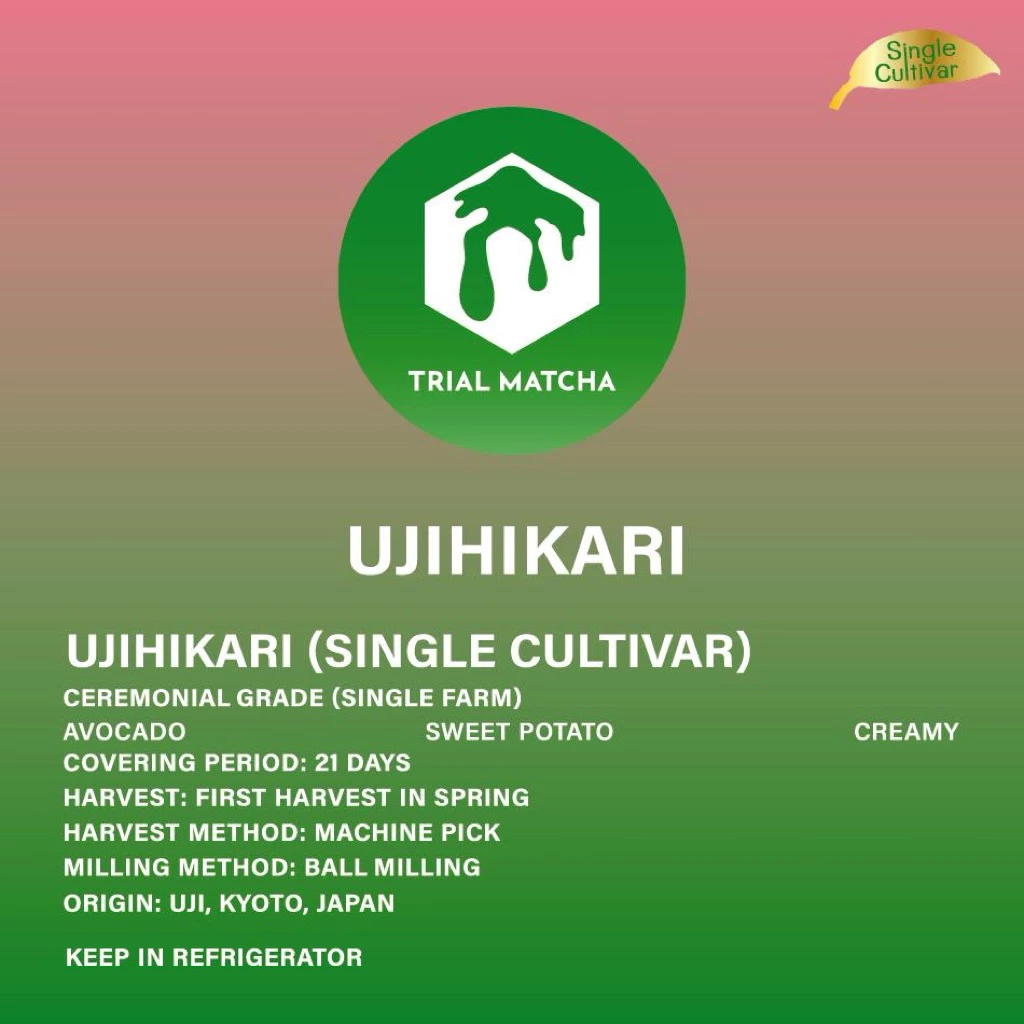 TRIAL MATCHA | ผงมัทฉะอุจิสายพันธุ์เดี่ยว Ujihikari Single cultivar