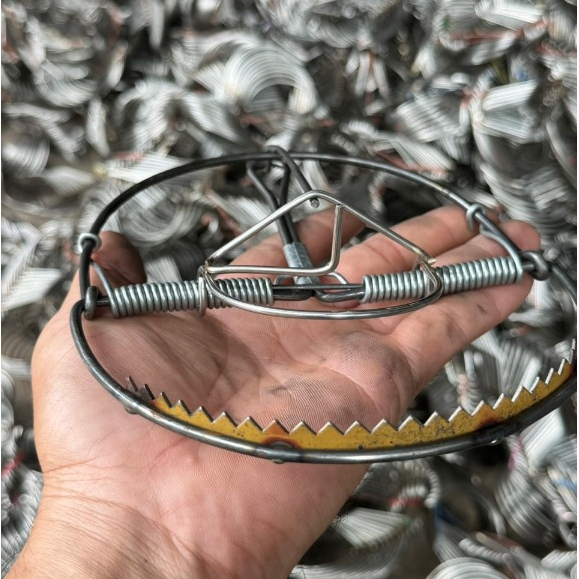 กับเวียดนามโมดีฟาย 6 นิ้วมีฟัน  ที่เสียบเหยื่อสแตนเลส  มัดละ 10 อัน พร้อมใช้งาน - รูปที่ 4