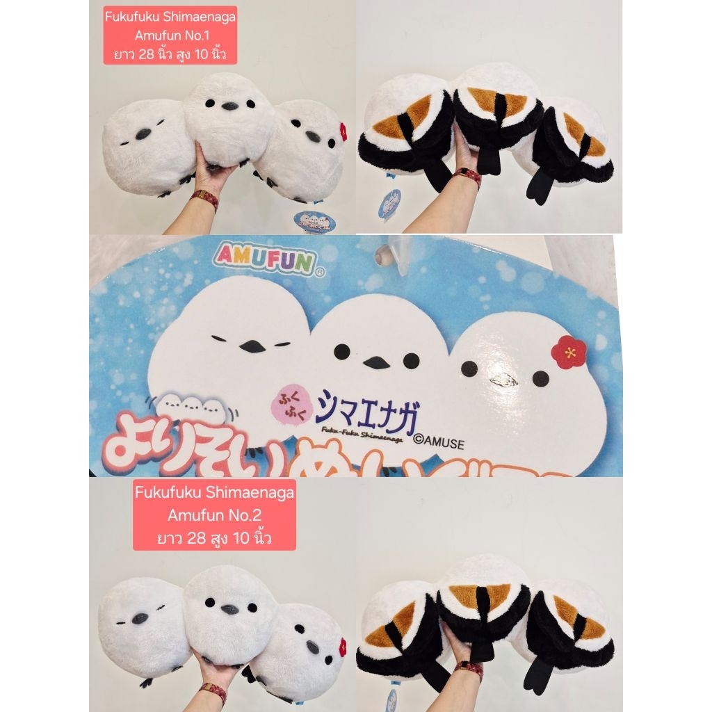 fuku fuku shimaenaga นกอมูส 3 ตัวติดกัน