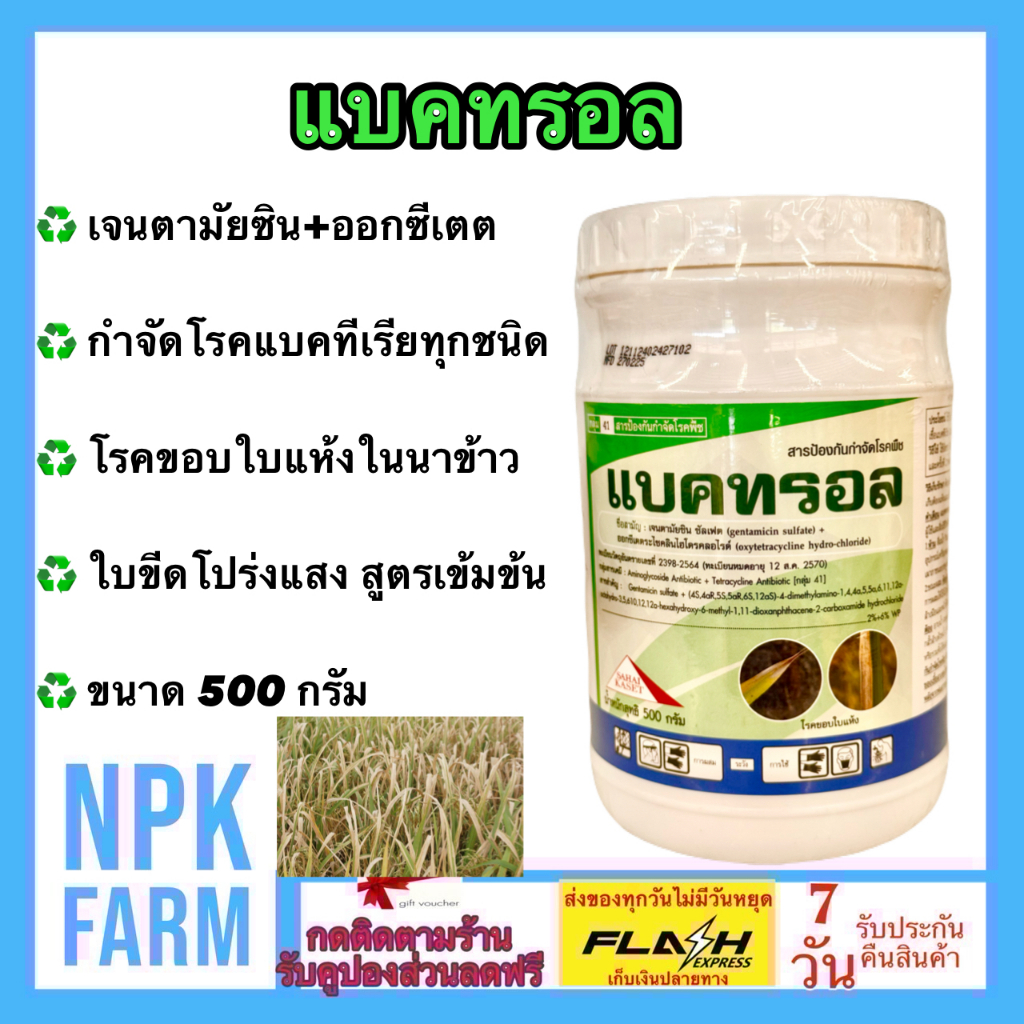 แบคทรอล ขนาด 500 กรัม กำจัดเชื้อแบคทีเรีย ดื้อยา โรคขอบใบแห้ง ใบขีดโปร่งแสง โรคเน่าเละ แคงเกอร์
