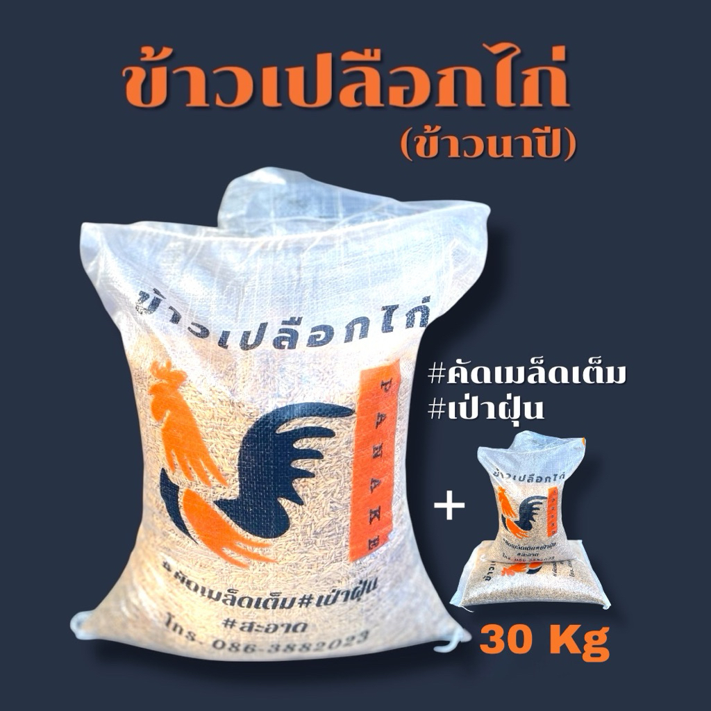 ข้าวเปลือก ข้าวไก่ ข้าวไก่ชน (ทำจากข้าวนาปีล้วนๆ) คัดเมล็ดเต็ม เป่าฝุ่น ถุงละ10กิโล