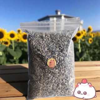 เมล็ดทานตะวันลาย (แบ่งขาย 500 g. ,200g., 1 kg.) อาหารนกแก้ว นกเล็ก เเละนกขนาดกลาง อาหารแฮมเตอร์ เเละสัตว์ฟันเเทะ