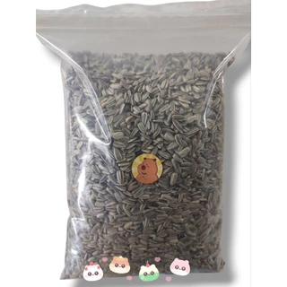 เมล็ดทานตะวันลาย (แบ่งขาย 500 g. ,200g., 1 kg.) อาหารนกแก้ว นกเล็ก เเละนกขนาดกลาง อาหารแฮมเตอร์ เเละสัตว์ฟันเเทะ