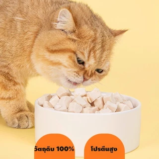 โปรแพ็คคู่ 500g+500g อกไก่ อกไก่ชิ้น ไข่แดง หญ้าแมว แซลมอน ตับไก่ อกเป็ด ฟรีซดรายขนมแมว ขนมสุนัข ราคาถูกสุดคุ้ม