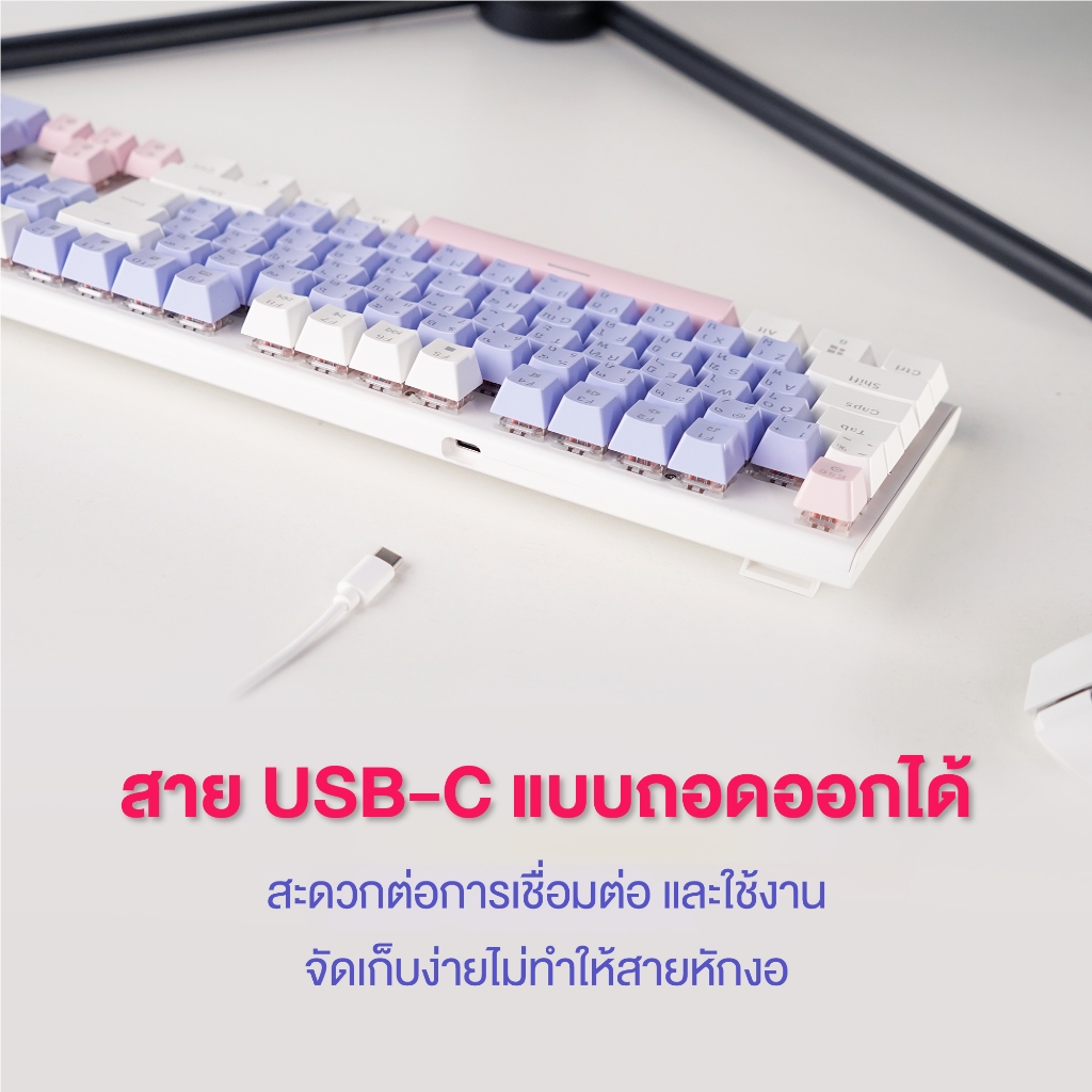 รูปภาพ 3