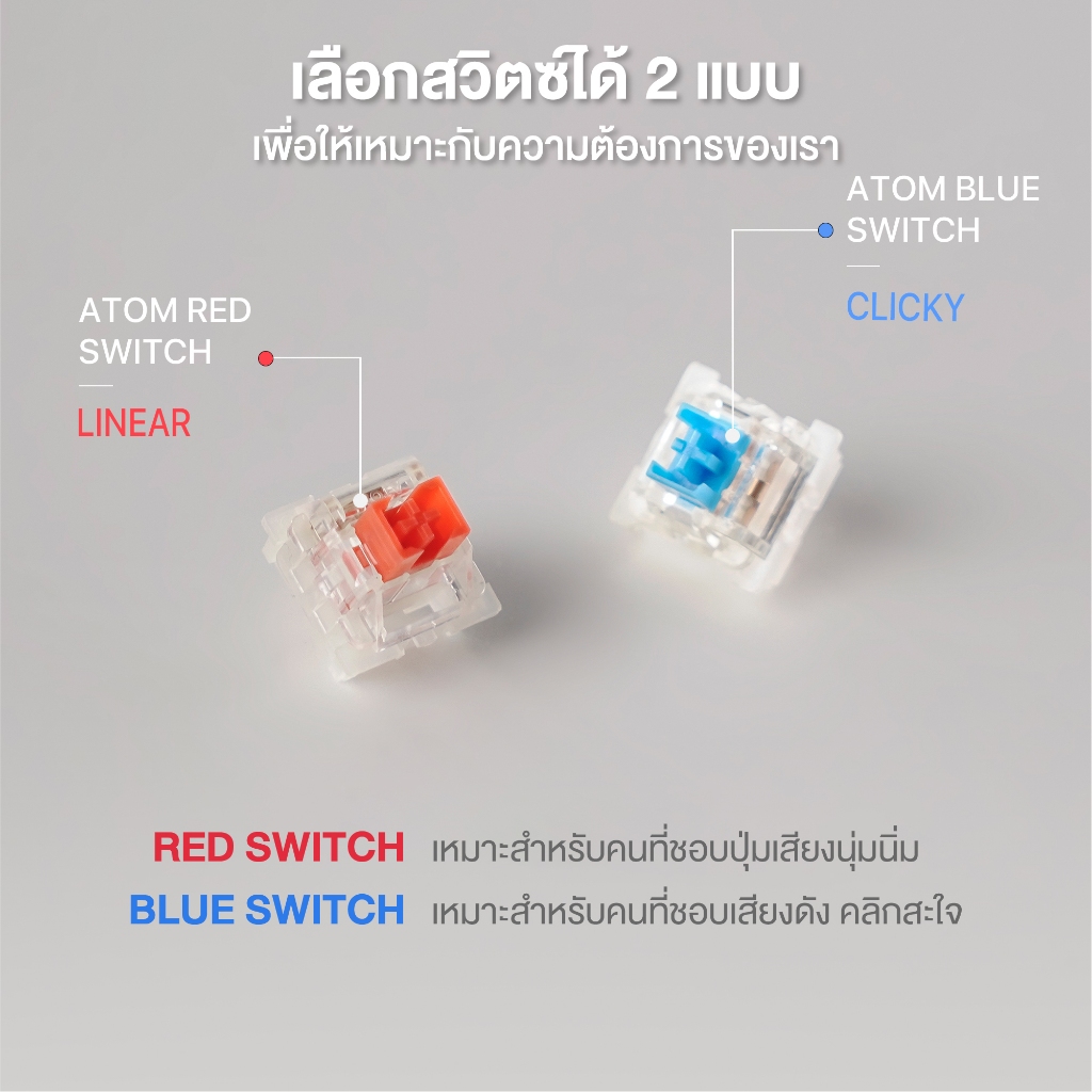 รูปภาพ 7