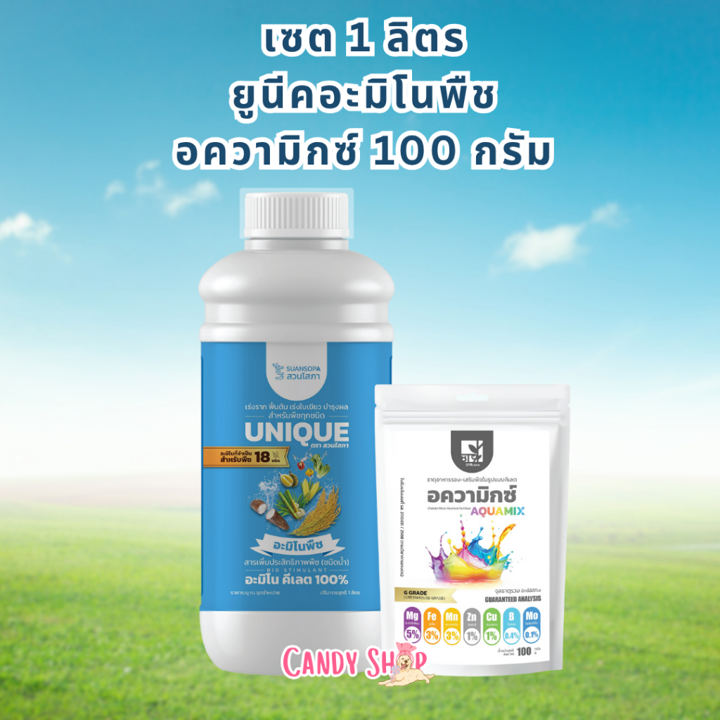 เซตคู่หูเร่งการเจริญเติบโตสำหรับพืชช่วยป้องกันและแก้ไขอาการขาดธาตุอาหารรอง เช่น ใบเหลือง ยอดหงิก หรือใบอ่อนซีด