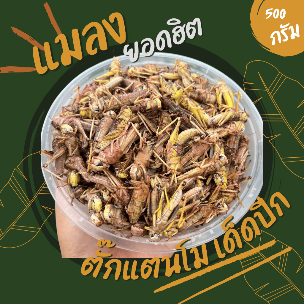 ตั๊กแตนโมไข่ เด็ดปีก (ส่งรถห้องเย็น) ค่าส่งเหมาๆ ฟรีซแข็ง สดใหม่ สะอาด ส่งตรงจากฟาร์ม