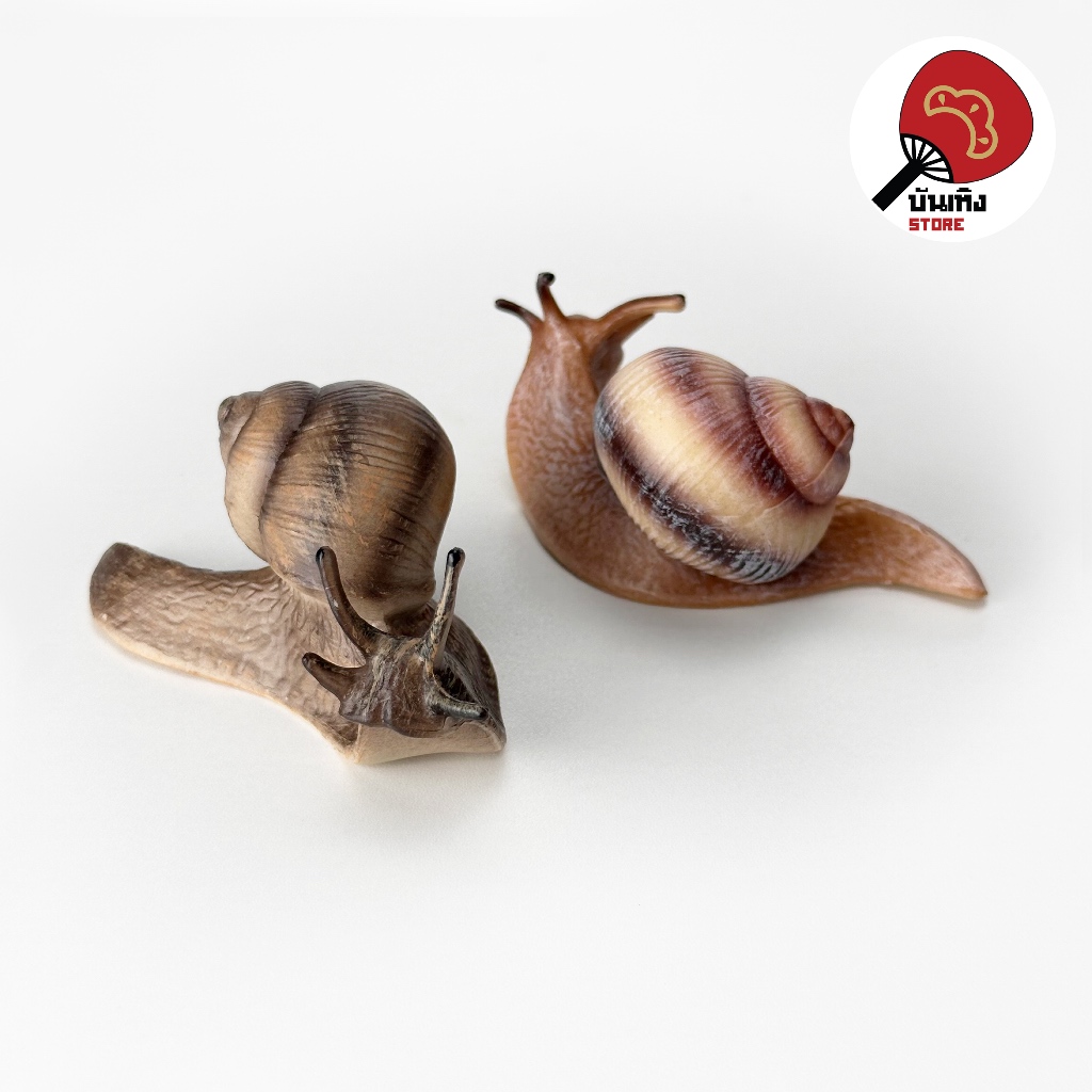 (พร้อมส่ง) Miniature / Prop ของจิ๋ว ของประกอบฉาก - Snail หอยทากดึ๊บๆ
