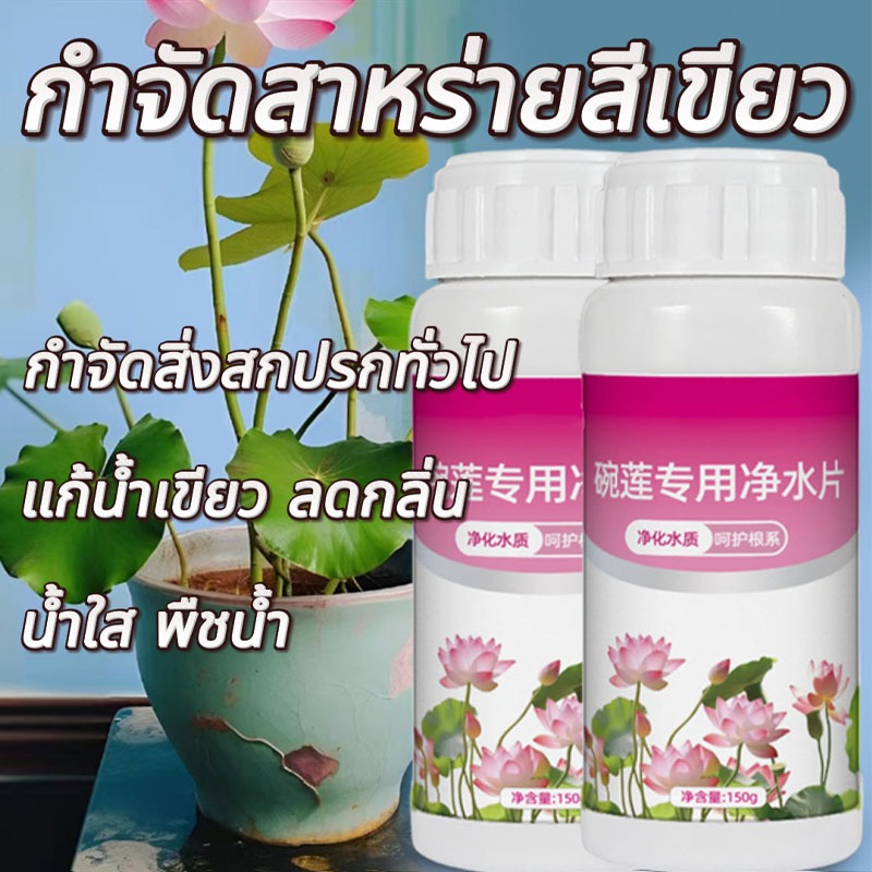 ปุ๋ยบัว เม็ดทำน้ำให้บริสุทธิ์สำหรับชามดอกบัว ปรับสภาพน้ำใส ย่อยของเสีย แก้น้ำเขียว ลดกลิ่น สารเร่งราก คุ้มครองราก