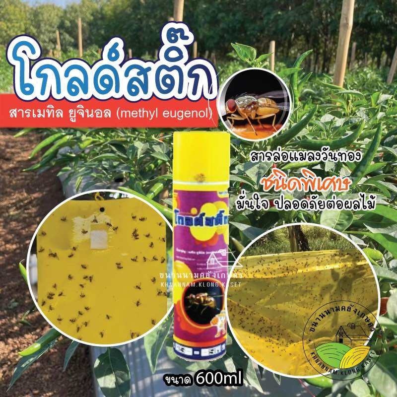 สเปรย์ ดักแมลงวัน โกลด์สติ๊ก สารกำจัดแมลงวันทอง สารเมทิลยูจินอล (methyl eugenol) 600cc