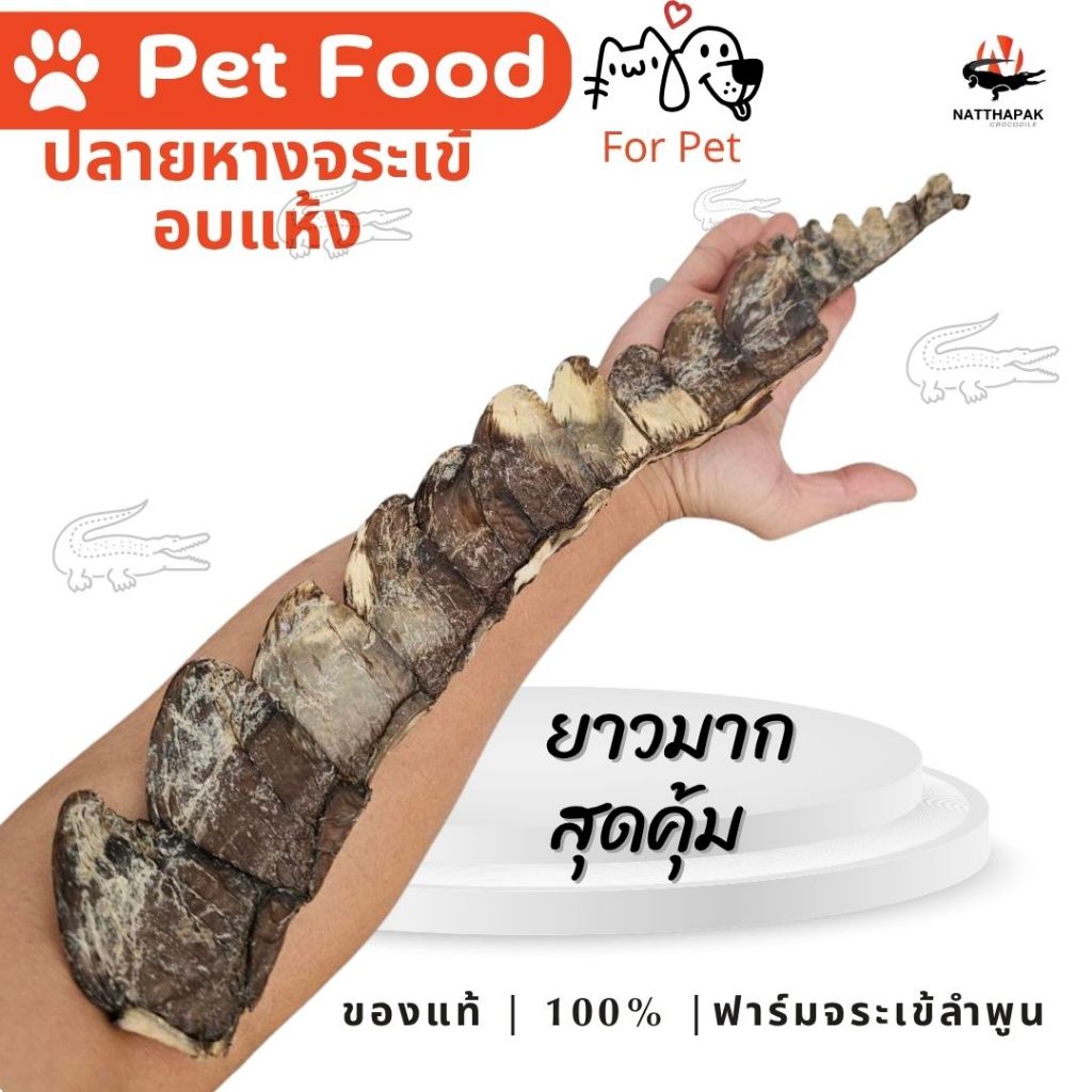 หางจระเข้อบแห้ง 100% จากฟาร์มจระเข้ลำพูน | อาหารเสริม-ขนมสัตว์เลี้ยงสุดโปรด! “ของแท้ ไม่ผสม ไม่แต่งสี ไม่ใส่สารกันเสีย!”