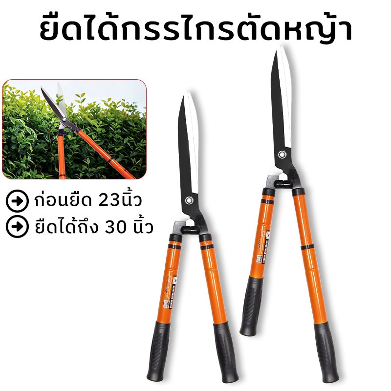 MUSCLE COW กรรไกรตัดหญ้า สามารถยืดได้หดได้ ด้ามเหล็กหุ้มพลาสติก เหมาะสำหรับตัดกิ่งที่สูง กรรไกรตัดกิ่ง กรรไกรตัดต้นไม้ ราคา ถูกที่สุด ดีลบีเคเค แกลเลอรีภาพที่ 9