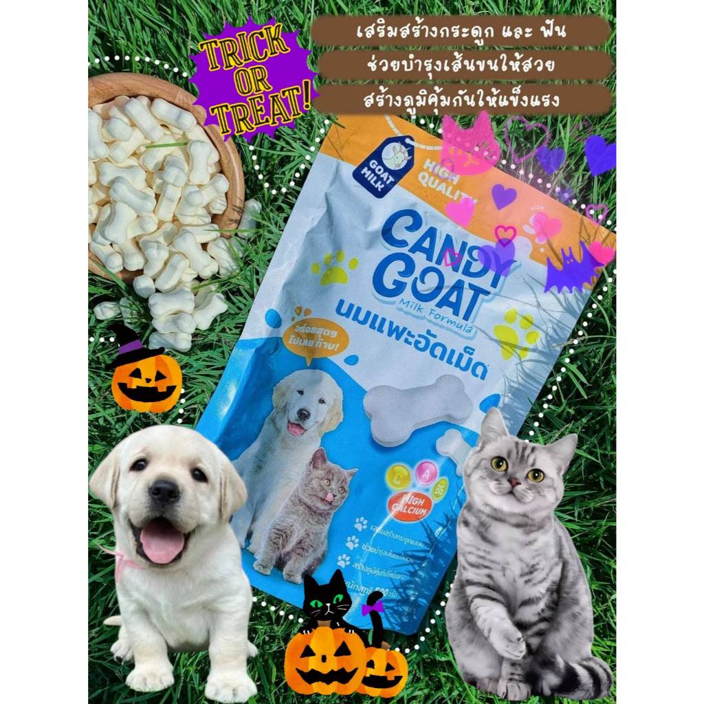Candy Goat Milk 500กรัม แคนดี้โกทมิลค์นมแพะอัดเม็ดสุนัขและแมวเเละสัตว์ฟันเเทะ ส่งด่วนทุกวัน