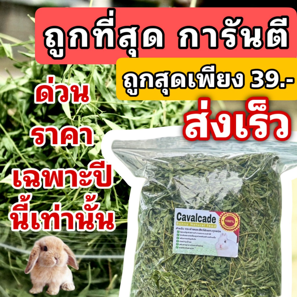 best 1st ถั่วคาวาลเคด200กรัม ถึง 1KG เขียวหอม