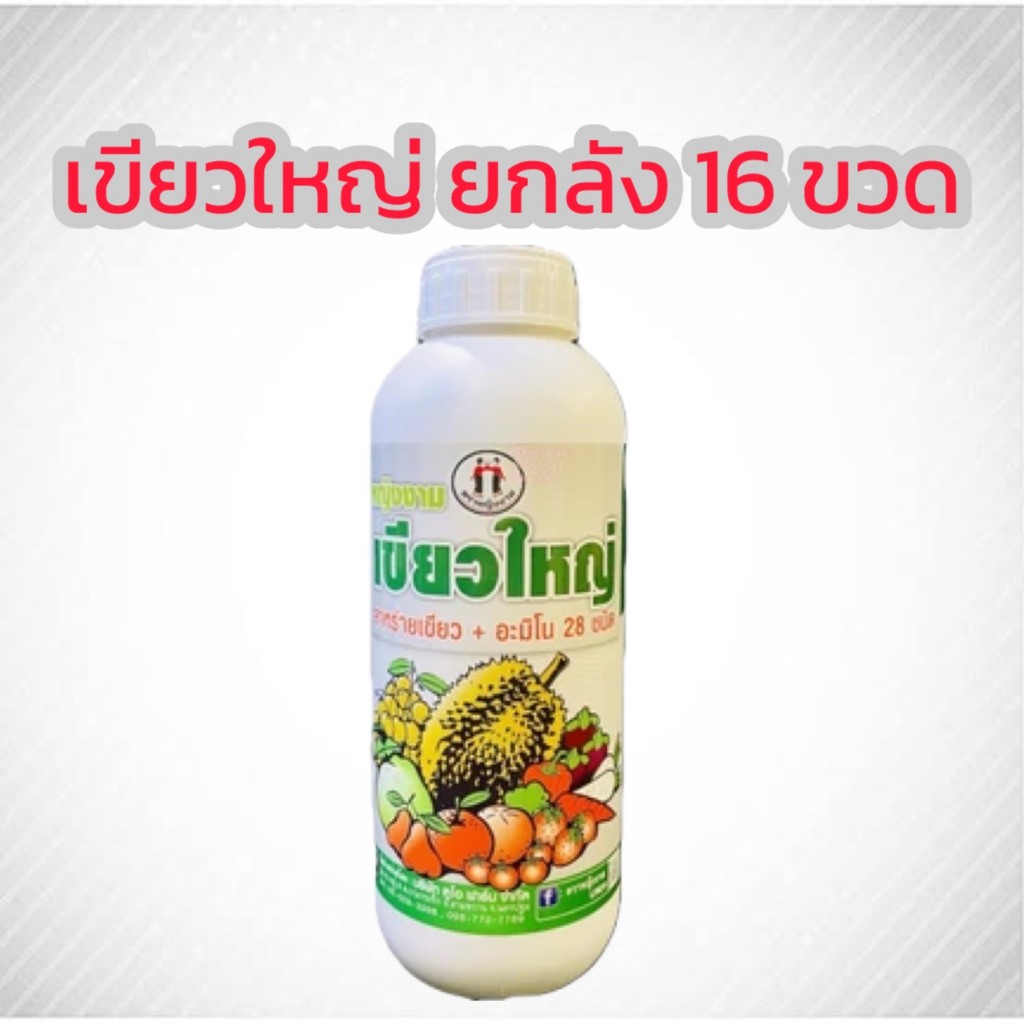 เขียวใหญ่ อะมิโน+สาหร่าย ตราหญิงงาม ยกลัง16ขวด