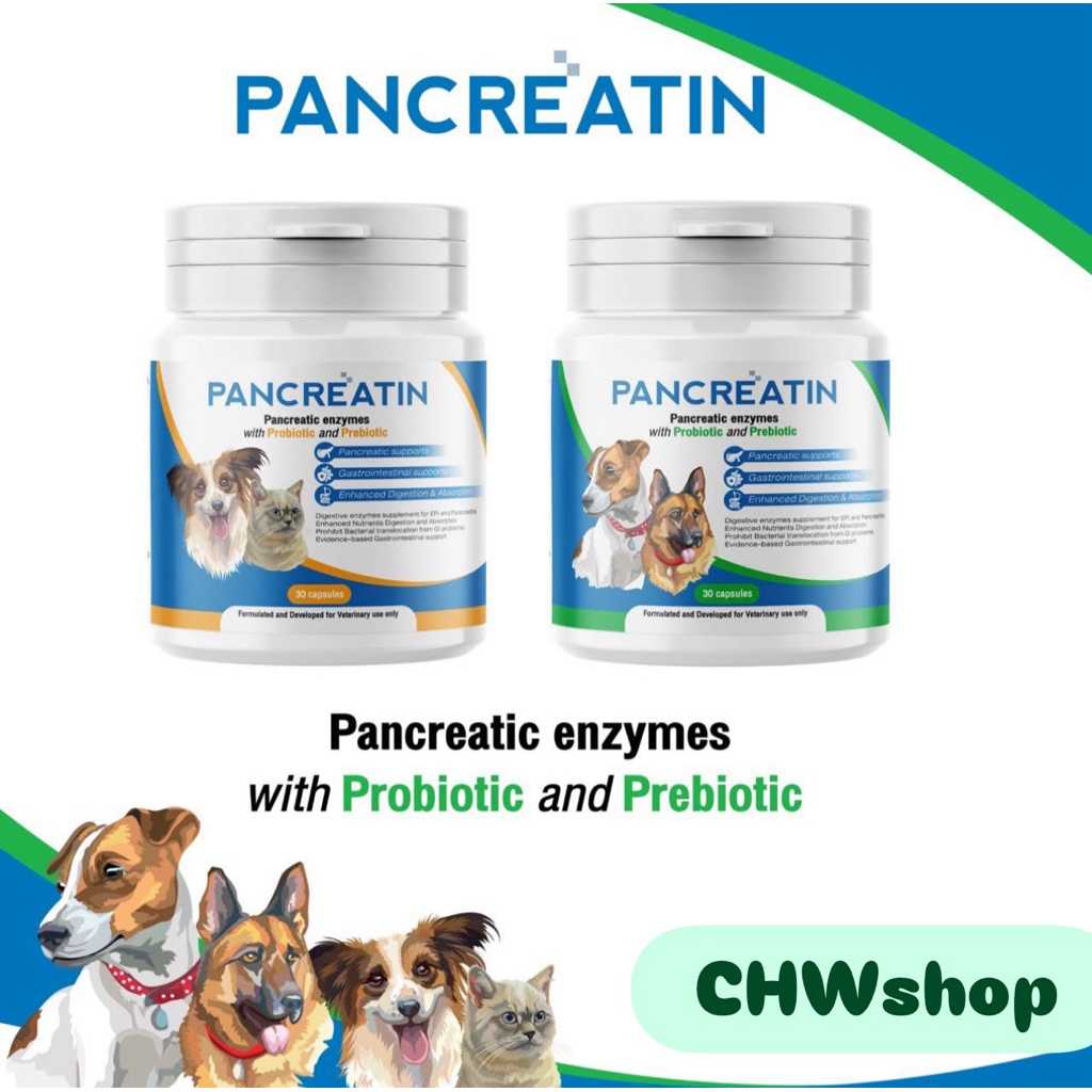 PANCREATIN เอ็นไซม์เสริมอาหารสำหรับสุนัขและแมว 30เม็ด ( 250-500 G. )