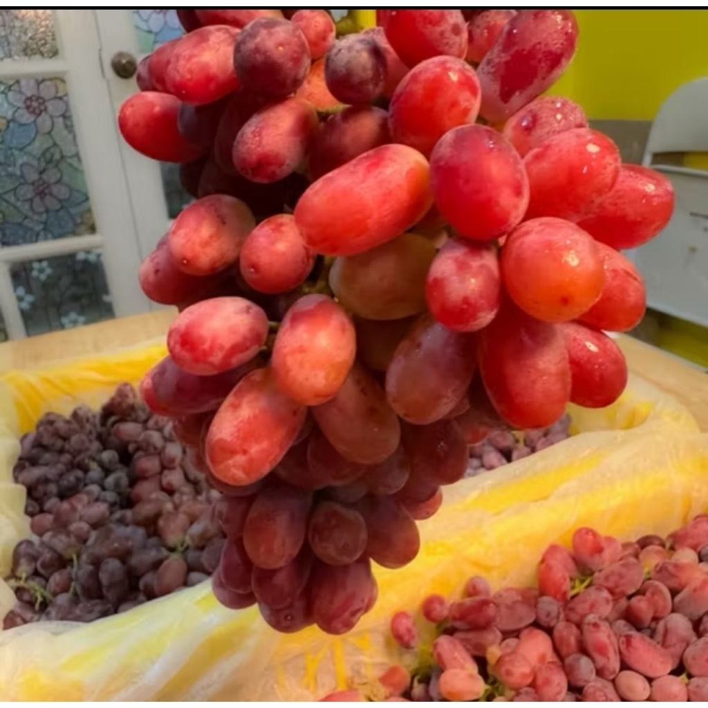 (ขายยกตะกร้า) องุ่นแดงไร้เมล็ด ซินเจียง ยกตะกร้า 4.5-5.5 โลเนื้อ