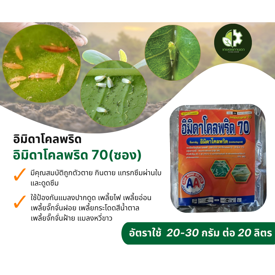 อิมิดาโคลพริด AA 100 กรัม ใช้ป้องกันแมลงปากดูด เพลี้ยไฟ เพลี้ยอ่อน  เพลี้ยจั๊กจั่นฝอย