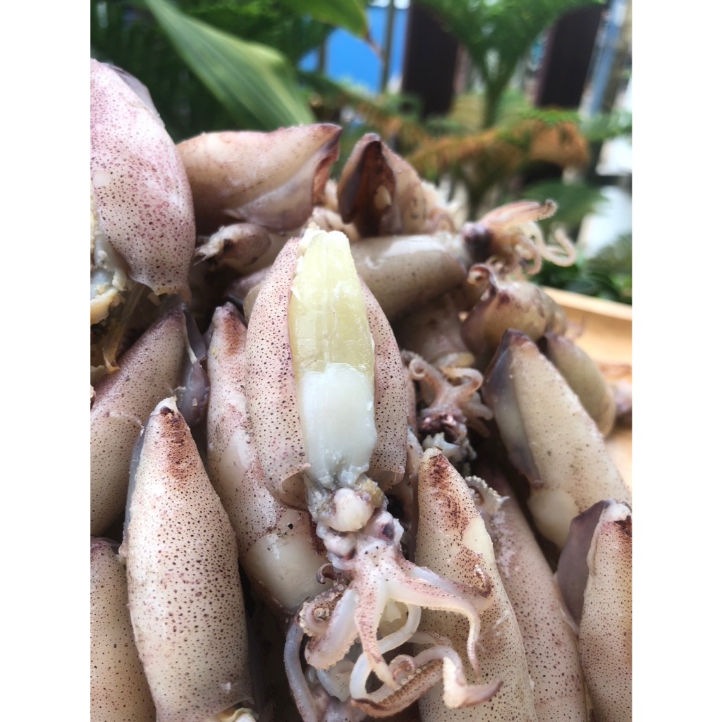 หมึกกะตอยต้มไข่ 1แถม1 (150กรัม X2) ไข่แน่นทุกตัว