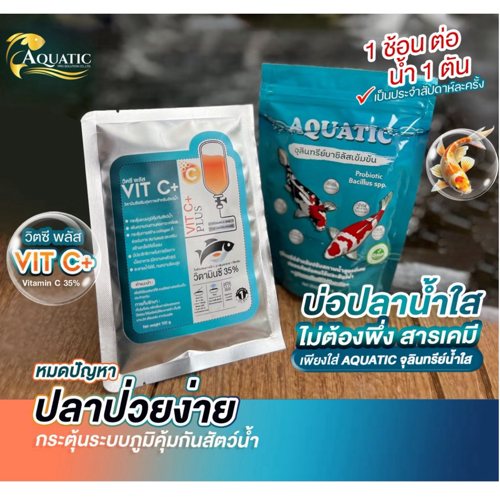 เซตคู่จุลินทรีย์น้ำใส+วิตซีบำรุงสุขภาพปลา ช่วยเสริมภูมิคุ้มกันให้ปลาแข็งแรงและกระตุ้นการสร้างคอลลาเจน