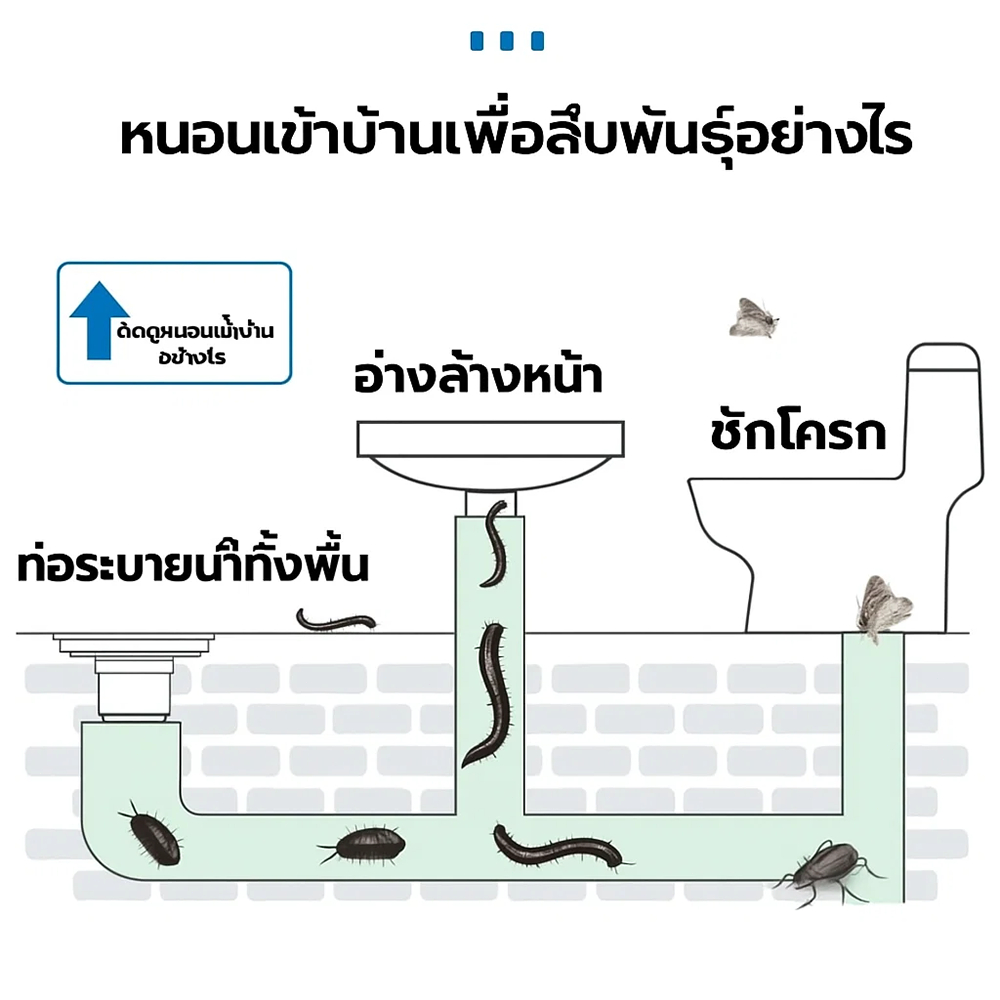 ยาฆ่าแมลงในท่อระบายน้ำ 500ml น้ำยากำจัดแมลง สารกำจัดศัตรูพืชท่อระบายน้ำ ดับกลิ่นห้องน้ำ กำจัดแมลงสาบ ใช้งานง่าย เห็นผลไว - รูปที่ 2
