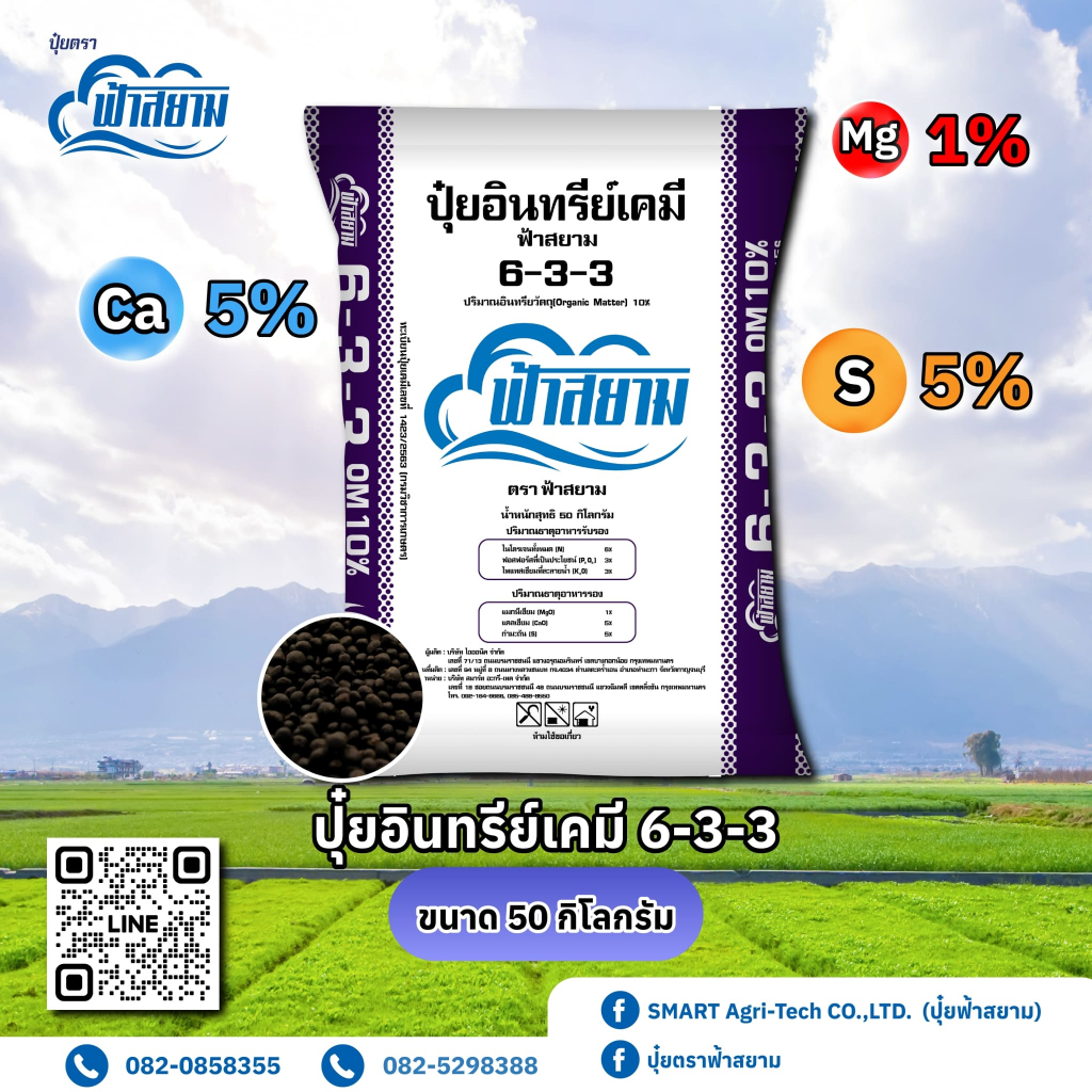 ปุ๋ย อินทรีย์เคมี633 50กิโล อินทรีย์ เคมี 633 ปุ๋ยกระสอบ ปุ๋ยเคมี ปุ๋ย 50กิโลกรัม ฟ้าสยาม