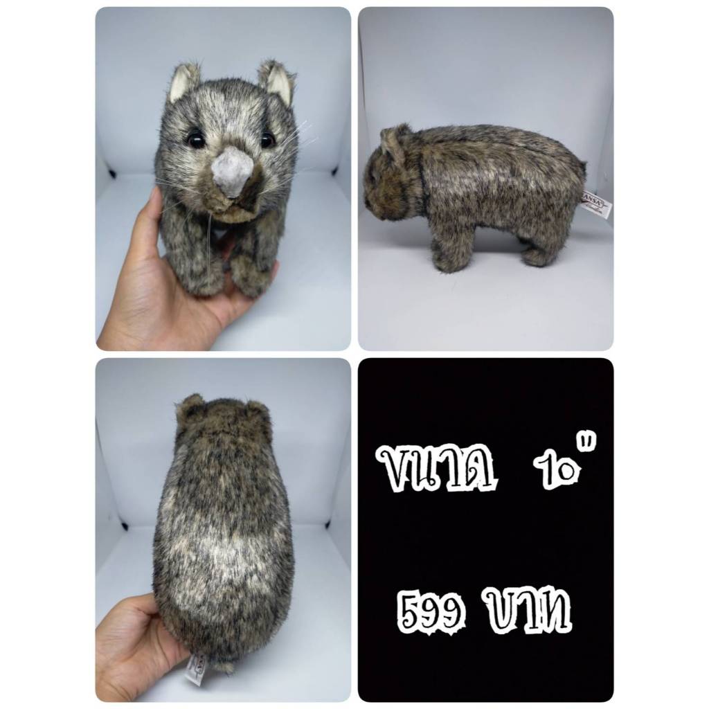 Wombat#วอมแบต#Family Vombatidae#Hansa#สัตว์เหมือน#ตุ๊กตาญี่ปุ่นมือสอง
