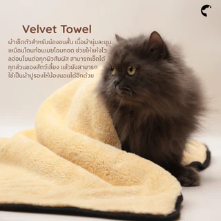 Chapet Velvet Towel (ผ้าเช็ดตัวสำหรับสัตว์เลี้ยงขนสั้น)