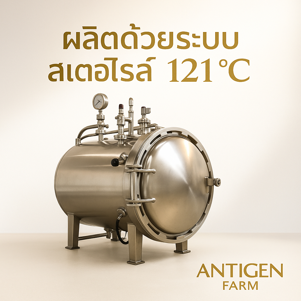 จิ้งหรีดต้มสเตอไรล์ อาหารชูการ์ไกรเดอร์ เฮดจ์ฮอก กิ้งก่า / บีเดดดราก้อน  ปลาคาร์พ นก และสัตว์กินแมลงทั่วไป รูปที่ 4