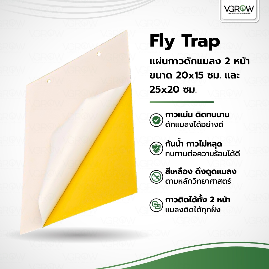 แผ่นกาวดักแมลง 2 หน้า กาวเหนียวพิเศษ ขนาด 20x15 / 25x20 เซนติเมตร กาว 2 หน้า กระดาษจับแมลง